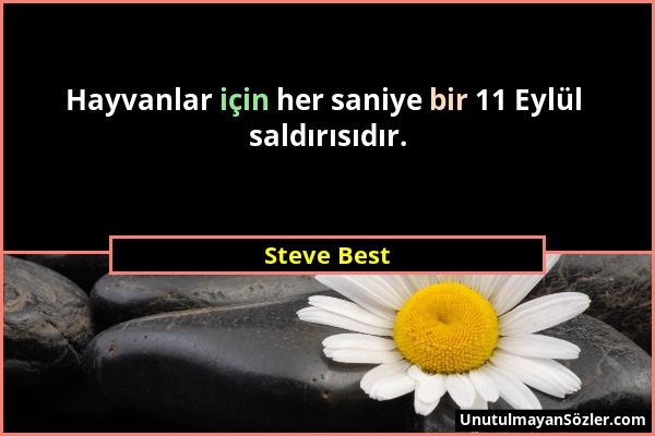 Steve Best - Hayvanlar için her saniye bir 11 Eylül saldırısıdır....