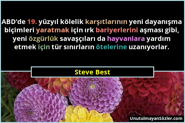 Steve Best - ABD'de 19. yüzyıl kölelik karşıtlarının yeni dayanışma biçimleri yaratmak için ırk bariyerlerini aşması gibi, yeni özgürlük savaşçıları d...