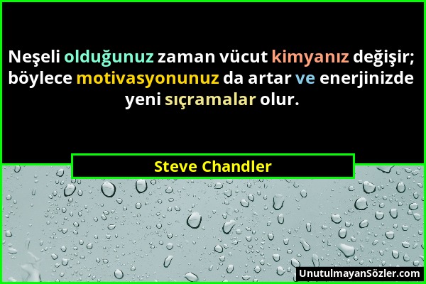 Steve Chandler - Neşeli olduğunuz zaman vücut kimyanız değişir; böylece motivasyonunuz da artar ve enerjinizde yeni sıçramalar olur....