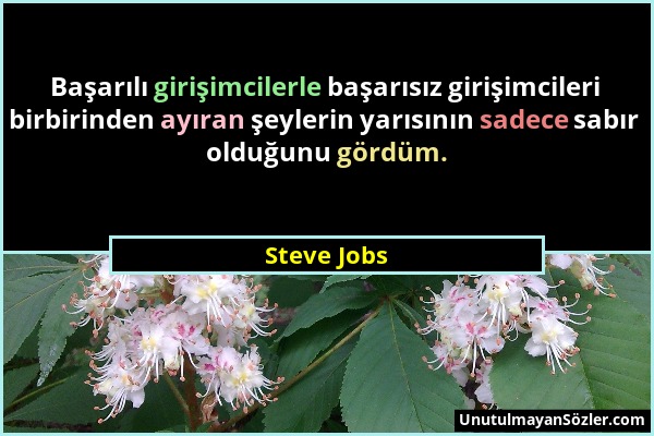 Steve Jobs - Başarılı girişimcilerle başarısız girişimcileri birbirinden ayıran şeylerin yarısının sadece sabır olduğunu gördüm....