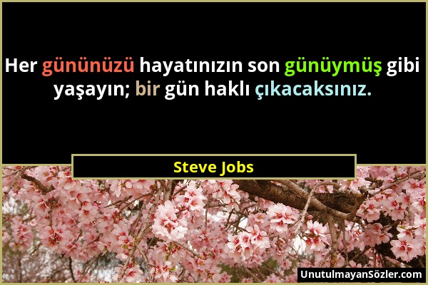 Steve Jobs - Her gününüzü hayatınızın son günüymüş gibi yaşayın; bir gün haklı çıkacaksınız....