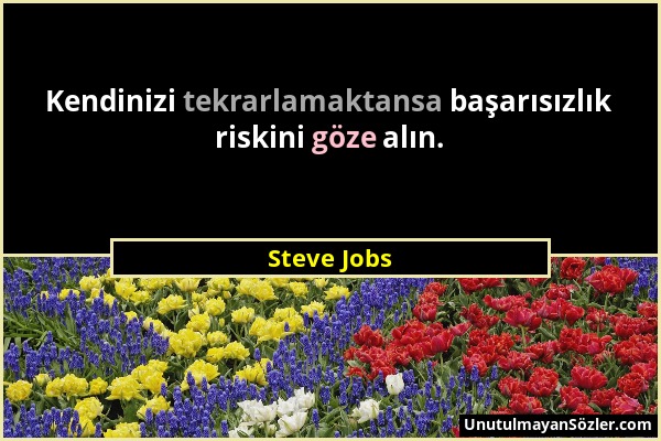 Steve Jobs - Kendinizi tekrarlamaktansa başarısızlık riskini göze alın....