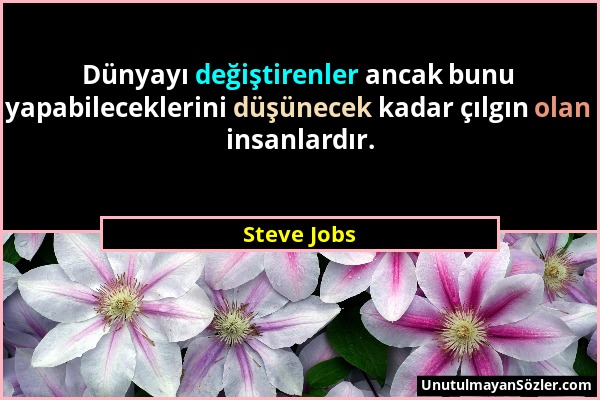 Steve Jobs - Dünyayı değiştirenler ancak bunu yapabileceklerini düşünecek kadar çılgın olan insanlardır....