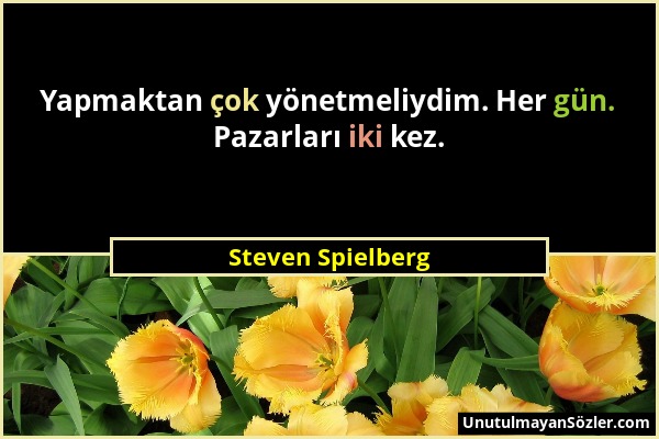 Steven Spielberg - Yapmaktan çok yönetmeliydim. Her gün. Pazarları iki kez....