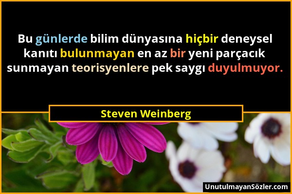 Steven Weinberg - Bu günlerde bilim dünyasına hiçbir deneysel kanıtı bulunmayan en az bir yeni parçacık sunmayan teorisyenlere pek saygı duyulmuyor....