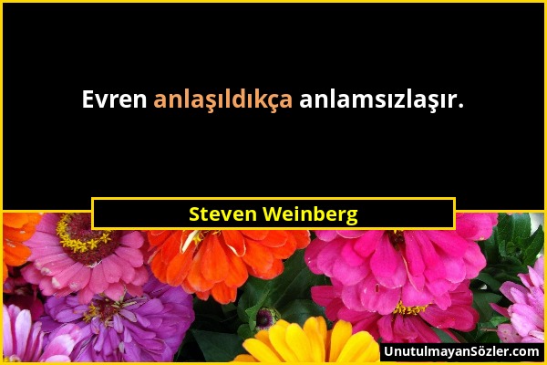 Steven Weinberg - Evren anlaşıldıkça anlamsızlaşır....