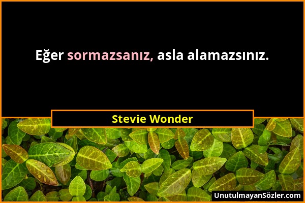Stevie Wonder - Eğer sormazsanız, asla alamazsınız....