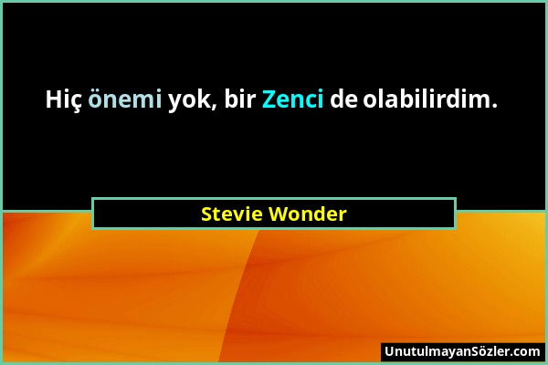 Stevie Wonder - Hiç önemi yok, bir Zenci de olabilirdim....