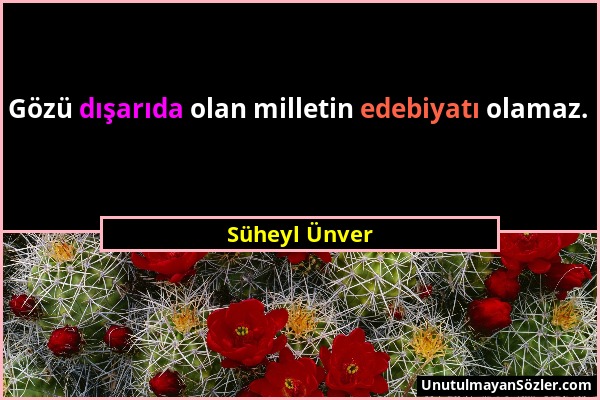 Süheyl Ünver - Gözü dışarıda olan milletin edebiyatı olamaz....