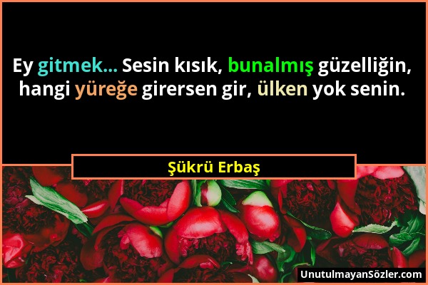 Şükrü Erbaş - Ey gitmek... Sesin kısık, bunalmış güzelliğin, hangi yüreğe girersen gir, ülken yok senin....