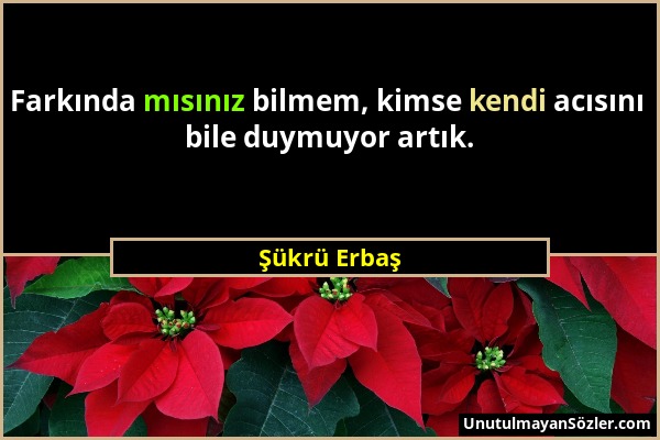 Şükrü Erbaş - Farkında mısınız bilmem, kimse kendi acısını bile duymuyor artık....