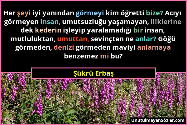 Şükrü Erbaş - Her şeyi iyi yanından görmeyi kim öğretti bize? Acıyı görmeyen insan, umutsuzluğu yaşamayan, iliklerine dek kederin işleyip yaralamadığı...