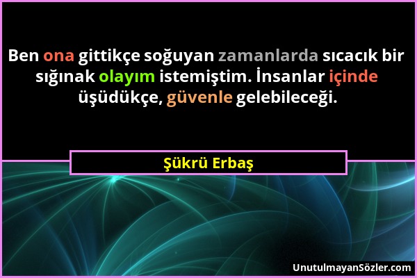 Şükrü Erbaş - Ben ona gittikçe soğuyan zamanlarda sıcacık bir sığınak olayım istemiştim. İnsanlar içinde üşüdükçe, güvenle gelebileceği....