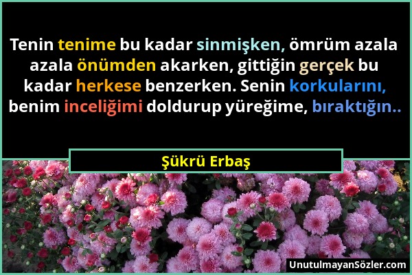 Şükrü Erbaş - Tenin tenime bu kadar sinmişken, ömrüm azala azala önümden akarken, gittiğin gerçek bu kadar herkese benzerken. Senin korkularını, benim...