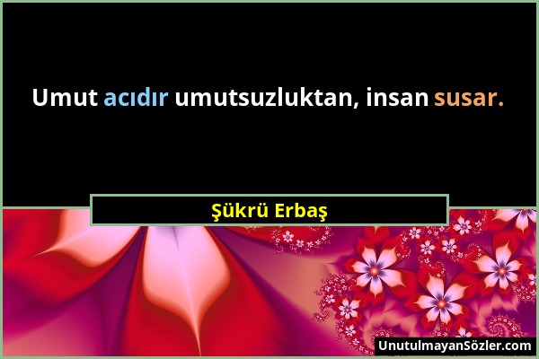 Şükrü Erbaş - Umut acıdır umutsuzluktan, insan susar....