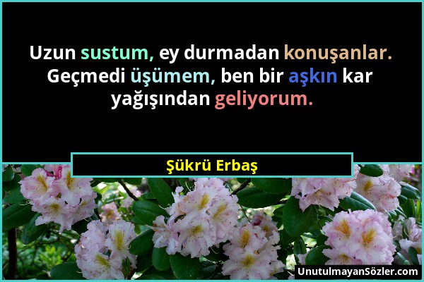 Şükrü Erbaş - Uzun sustum, ey durmadan konuşanlar. Geçmedi üşümem, ben bir aşkın kar yağışından geliyorum....