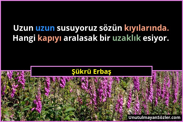 Şükrü Erbaş - Uzun uzun susuyoruz sözün kıyılarında. Hangi kapıyı aralasak bir uzaklık esiyor....