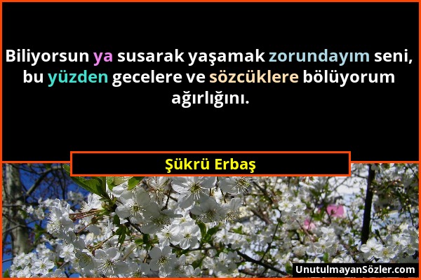 Şükrü Erbaş - Biliyorsun ya susarak yaşamak zorundayım seni, bu yüzden gecelere ve sözcüklere bölüyorum ağırlığını....