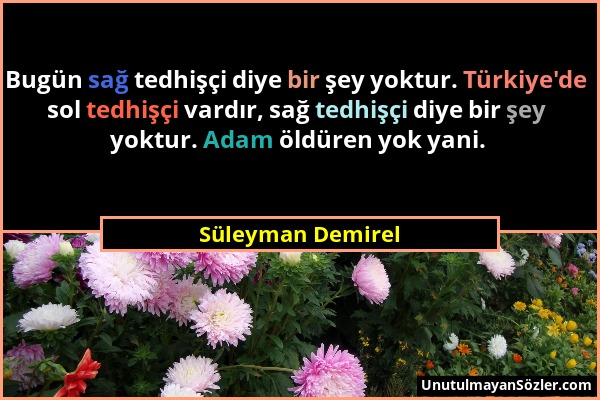 Süleyman Demirel - Bugün sağ tedhişçi diye bir şey yoktur. Türkiye'de sol tedhişçi vardır, sağ tedhişçi diye bir şey yoktur. Adam öldüren yok yani....