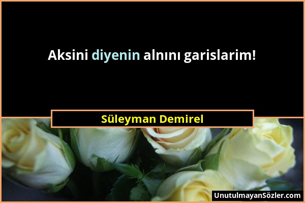 Süleyman Demirel - Aksini diyenin alnını garislarim!...