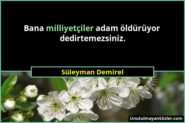 Süleyman Demirel - Bana milliyetçiler adam öldürüyor dedirtemezsiniz....