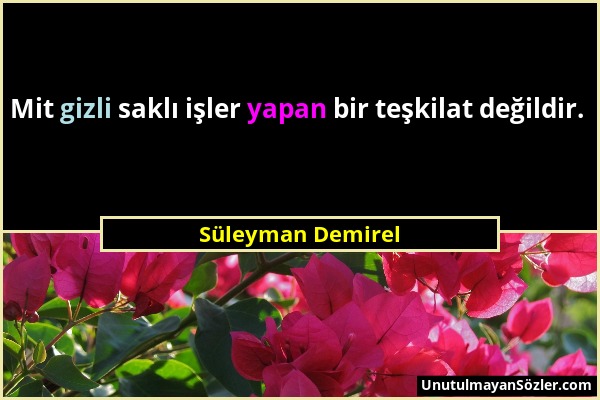 Süleyman Demirel - Mit gizli saklı işler yapan bir teşkilat değildir....