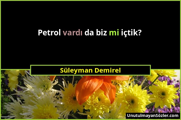 Süleyman Demirel - Petrol vardı da biz mi içtik?...