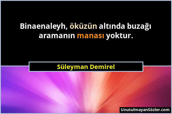 Süleyman Demirel - Binaenaleyh, öküzün altında buzağı aramanın manası yoktur....