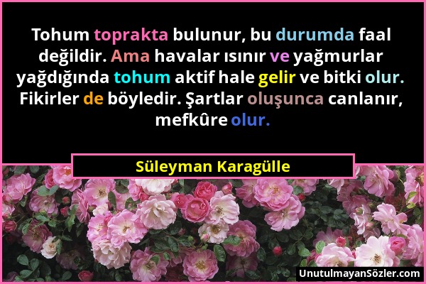 Süleyman Karagülle - Tohum toprakta bulunur, bu durumda faal değildir. Ama havalar ısınır ve yağmurlar yağdığında tohum aktif hale gelir ve bitki olur...