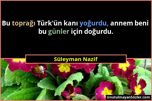 Süleyman Nazif - Bu toprağı Türk'ün kanı yoğurdu, annem beni bu günler için doğurdu....