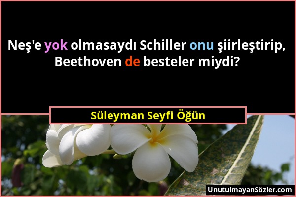 Süleyman Seyfi Öğün - Neş'e yok olmasaydı Schiller onu şiirleştirip, Beethoven de besteler miydi?...