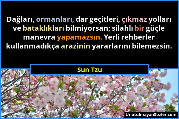 Sun Tzu - Dağları, ormanları, dar geçitleri, çıkmaz yolları ve bataklıkları bilmiyorsan; silahlı bir güçle manevra yapamazsın. Yerli rehberler kullanm...