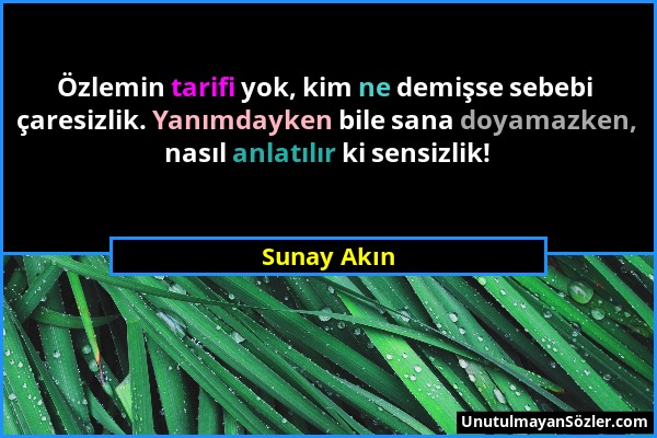 Sunay Akın - Özlemin tarifi yok, kim ne demişse sebebi çaresizlik. Yanımdayken bile sana doyamazken, nasıl anlatılır ki sensizlik!...