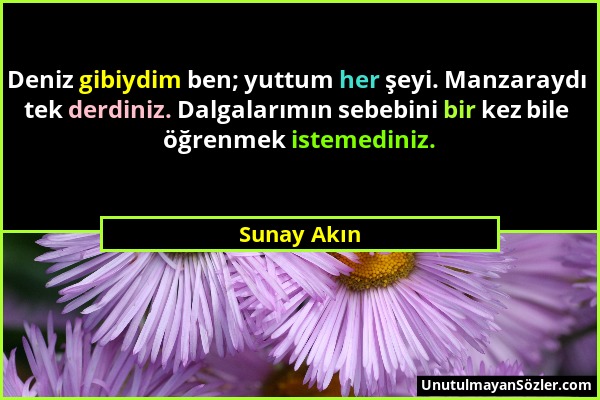 Sunay Akın - Deniz gibiydim ben; yuttum her şeyi. Manzaraydı tek derdiniz. Dalgalarımın sebebini bir kez bile öğrenmek istemediniz....