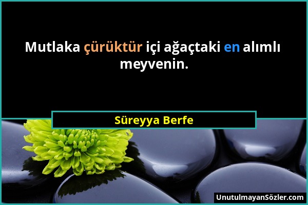Süreyya Berfe - Mutlaka çürüktür içi ağaçtaki en alımlı meyvenin....