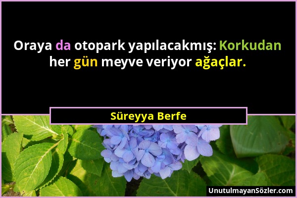 Süreyya Berfe - Oraya da otopark yapılacakmış: Korkudan her gün meyve veriyor ağaçlar....