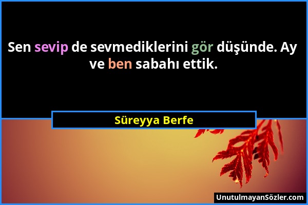 Süreyya Berfe - Sen sevip de sevmediklerini gör düşünde. Ay ve ben sabahı ettik....