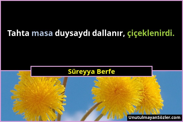 Süreyya Berfe - Tahta masa duysaydı dallanır, çiçeklenirdi....