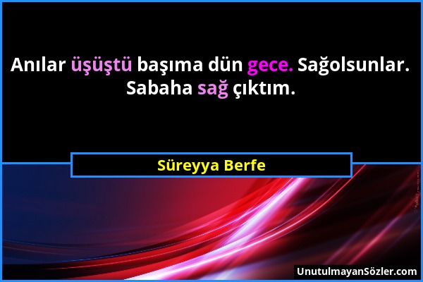 Süreyya Berfe - Anılar üşüştü başıma dün gece. Sağolsunlar. Sabaha sağ çıktım....