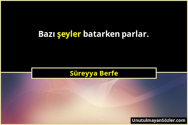 Süreyya Berfe - Bazı şeyler batarken parlar....