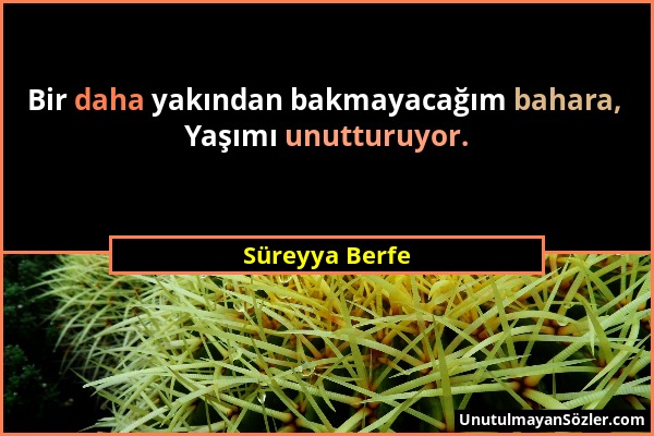 Süreyya Berfe - Bir daha yakından bakmayacağım bahara, Yaşımı unutturuyor....