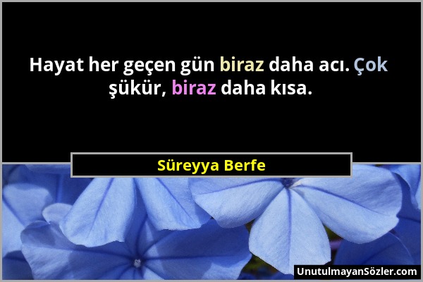 Süreyya Berfe - Hayat her geçen gün biraz daha acı. Çok şükür, biraz daha kısa....