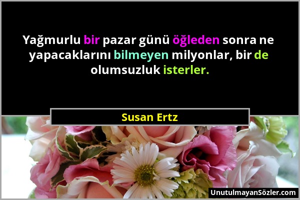 Susan Ertz - Yağmurlu bir pazar günü öğleden sonra ne yapacaklarını bilmeyen milyonlar, bir de olumsuzluk isterler....