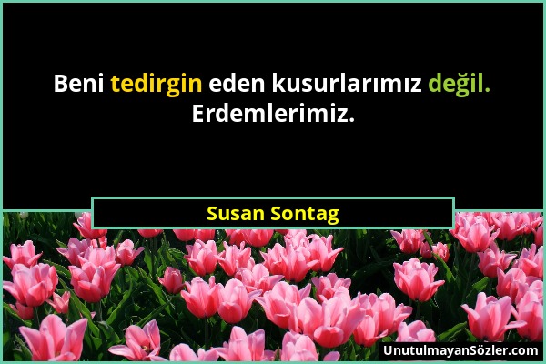 Susan Sontag - Beni tedirgin eden kusurlarımız değil. Erdemlerimiz....