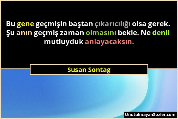 Susan Sontag - Bu gene geçmişin baştan çıkarıcılığı olsa gerek. Şu anın geçmiş zaman olmasını bekle. Ne denli mutluyduk anlayacaksın....