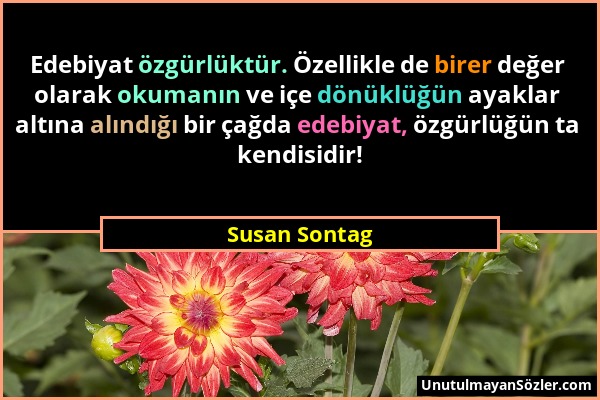 Susan Sontag - Edebiyat özgürlüktür. Özellikle de birer değer olarak okumanın ve içe dönüklüğün ayaklar altına alındığı bir çağda edebiyat, özgürlüğün...