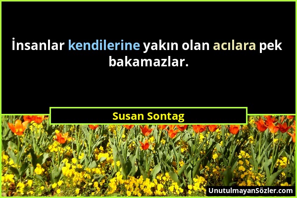 Susan Sontag - İnsanlar kendilerine yakın olan acılara pek bakamazlar....