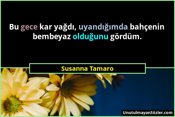 Susanna Tamaro - Bu gece kar yağdı, uyandığımda bahçenin bembeyaz olduğunu gördüm....