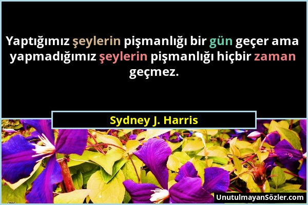 Sydney J. Harris - Yaptığımız şeylerin pişmanlığı bir gün geçer ama yapmadığımız şeylerin pişmanlığı hiçbir zaman geçmez....