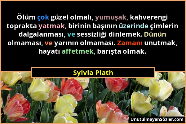 Sylvia Plath - Ölüm çok güzel olmalı, yumuşak, kahverengi toprakta yatmak, birinin başının üzerinde çimlerin dalgalanması, ve sessizliği dinlemek. Dün...